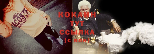 apvp Михайлов