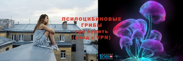 бошки Анжеро-Судженск