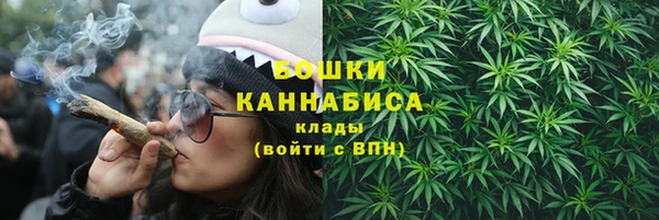 apvp Михайлов