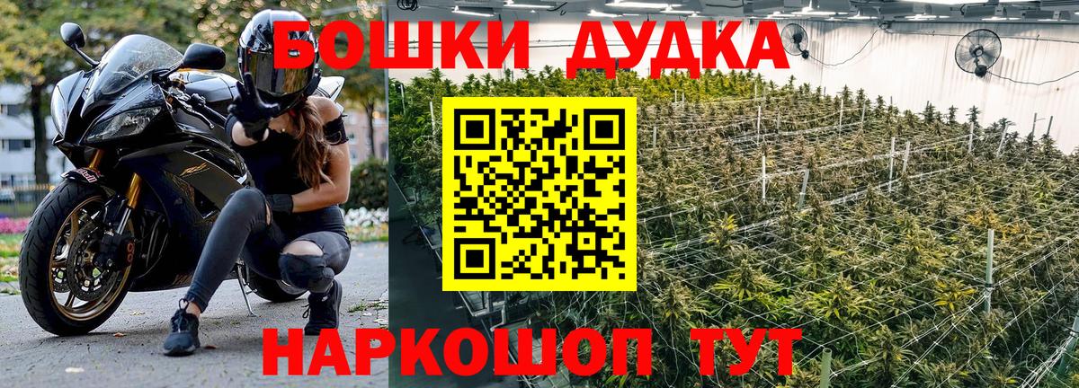 Шишки марихуана Amnesia Коломна